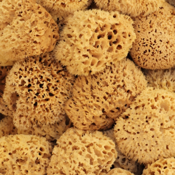 NATURAL SEA SPONGE