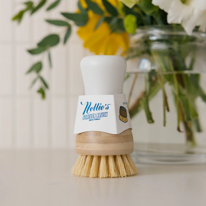 ‘FOREVER' DISH BRUSH BY NELLIE’S