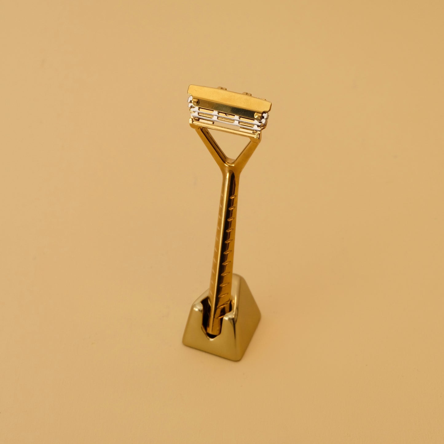 RAZOR WITH PIVOTING HEAD AND STAND