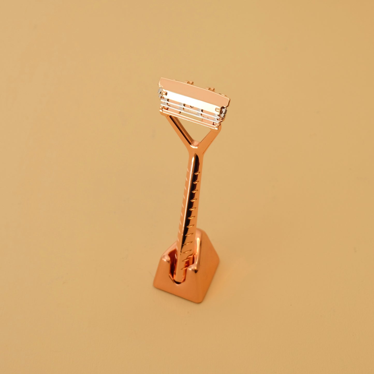 RAZOR WITH PIVOTING HEAD AND STAND