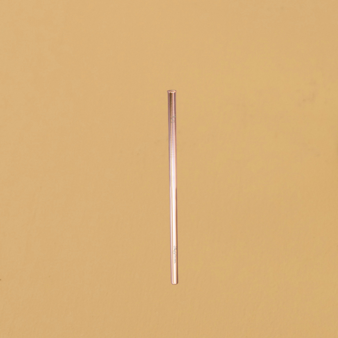 STAINLESS STEEL SINGLE REUSABLE STRAW