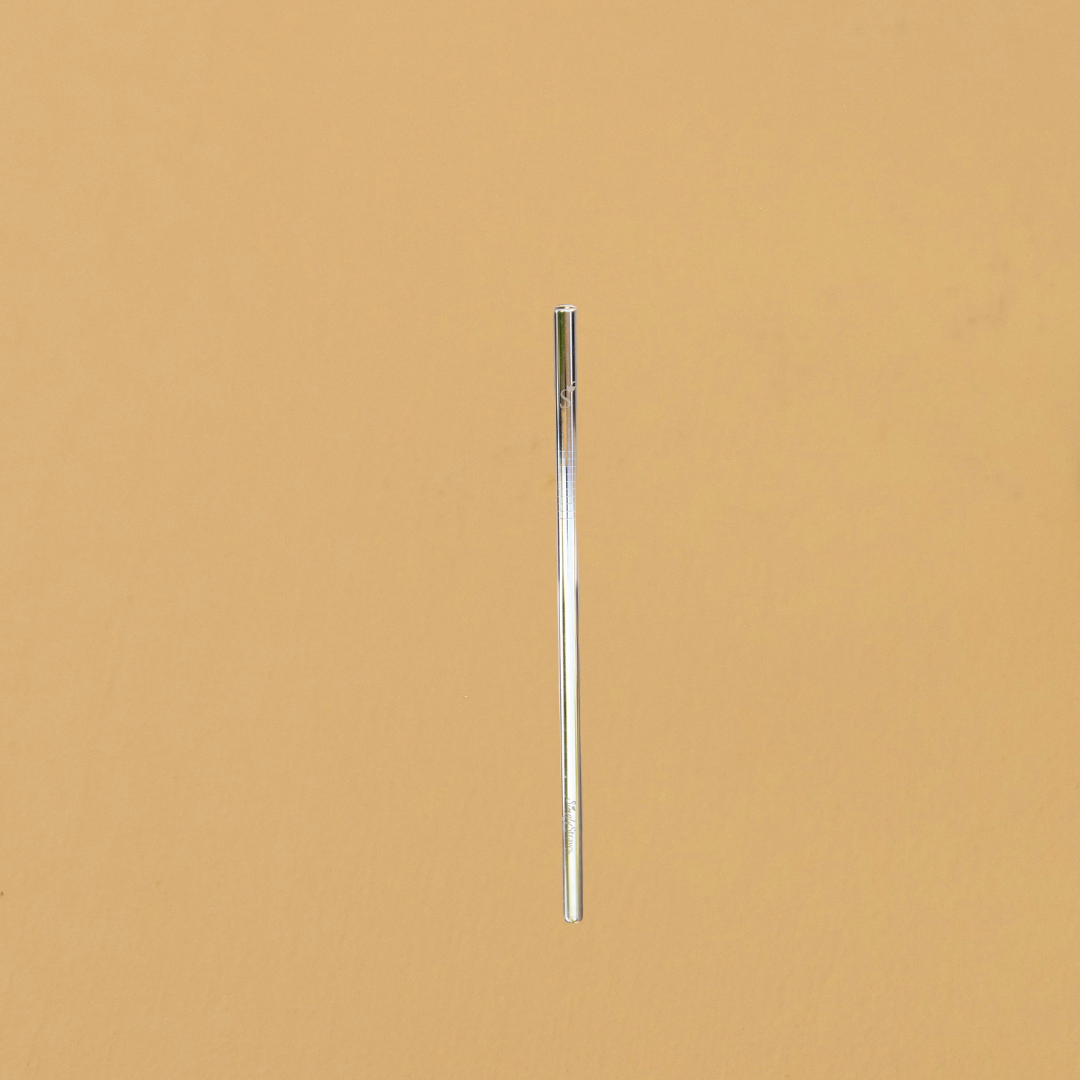 STAINLESS STEEL SINGLE REUSABLE STRAW